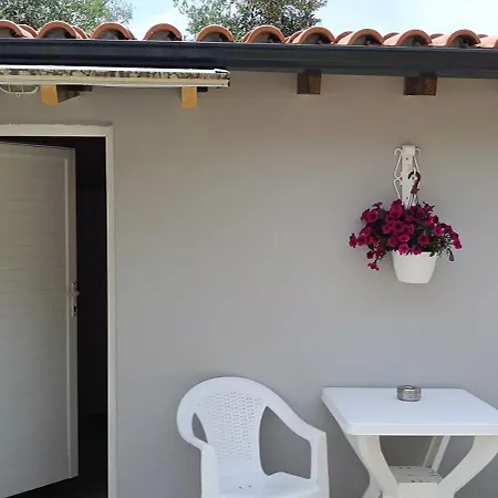 Skyframe - Sea, Olive & Nature Escape